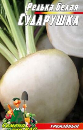 Редька біла Сударушка пакет 20 г насіння