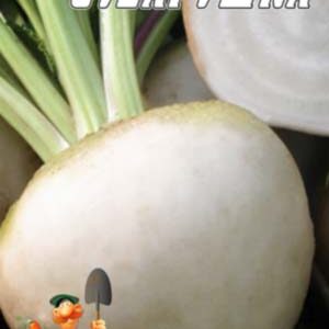 Редька біла Сударушка пакет 20 г насіння