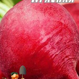 Редька красная зимняя пакет 10 грамм семян