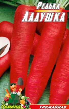 Редька Ладушка пакет 10 грамм семян