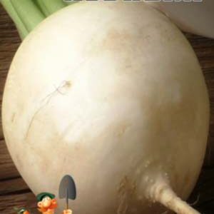 Редька лобо Лебідка пакет 10 грам насіння