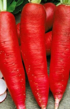 Редиска Червоний велетень пакет 5 грамів