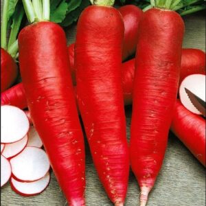 Редиска Червоний велетень пакет 5 грамів