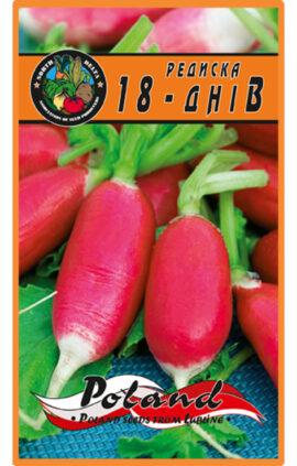 Редиска 18 днів пакет 20 грамів насінин