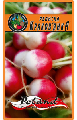 Редиска Краковянка пакет 20 грамів насінин
