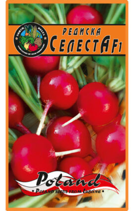 Редиска Селеста f1 пакет 20 грамів насінин