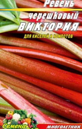 Ревень черешковий Вікторія пакет 0