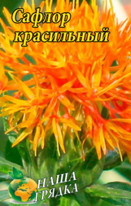 Сафлор фарбувальний пакет 0