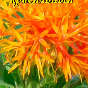 Сафлор фарбувальний пакет 0