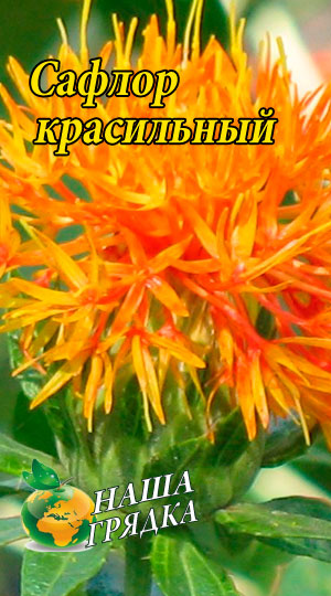 Сафлор фарбувальний пакет 0