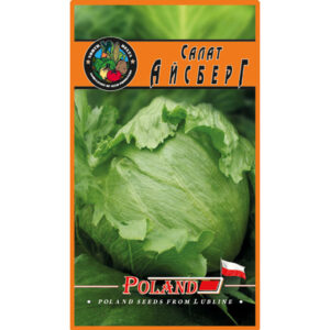 Салат Айсберг пакет 1 грам