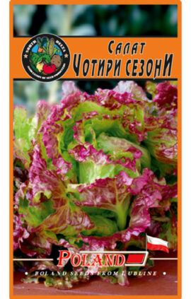 Салат Чотири сезони пакет 1 грам