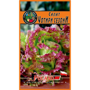 Салат Чотири сезони пакет 1 грам