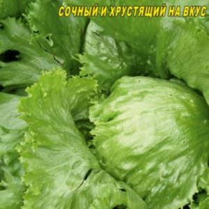 Салат Годар пакет 0