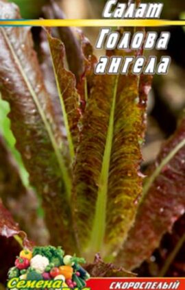 Салат Голова ангела пакет 0