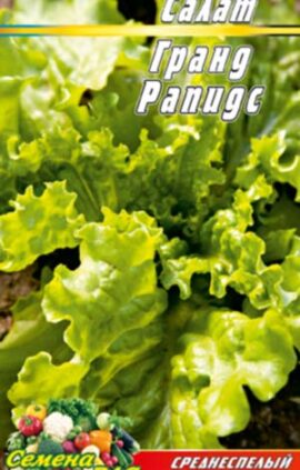 Салат Гранд Рапідс пакет 0