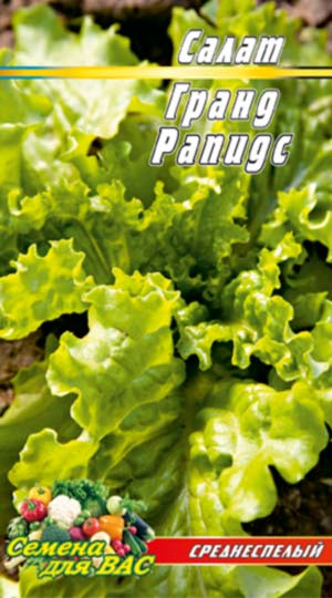 Салат Гранд Рапідс пакет 0