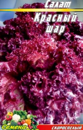 Салат Червоний шар пакет 0