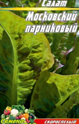 Салат Московський парниковий пакет 0