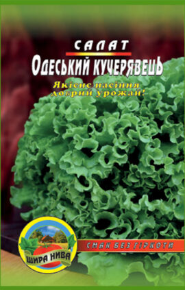 Салат Одеський кучерявець 1500 насінин