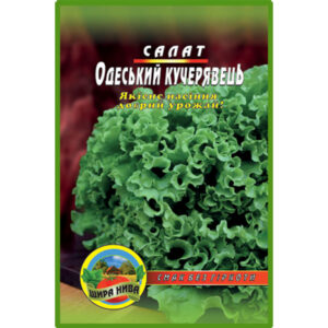 Салат Одеський кучерявець 1500 насінин