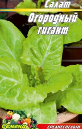 Салат Огородний гігант пакет 0