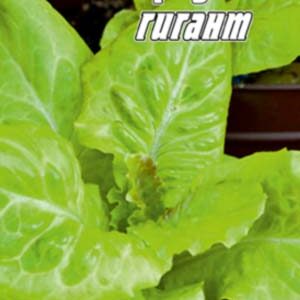 Салат Огородний гігант пакет 0