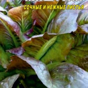 Салат-ромен Мішутка пакет 0