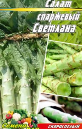 Салат спаржевий Світлана пакет 0