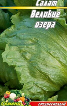 Салат Великі озера пакет 0