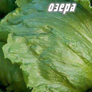 Салат Великі озера пакет 0