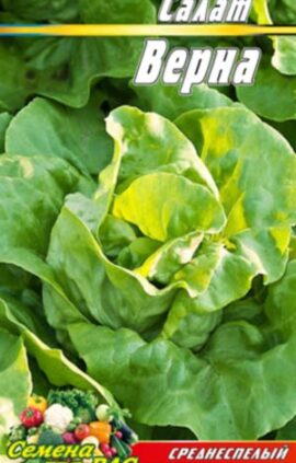 Салат Верна пакет 0