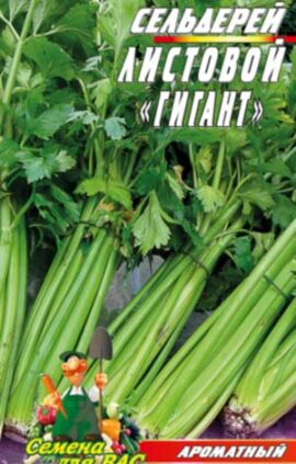 Селера листова Гігант 1 000 насінин