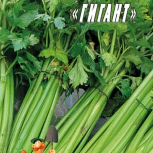 Селера листова Гігант 1 000 насінин