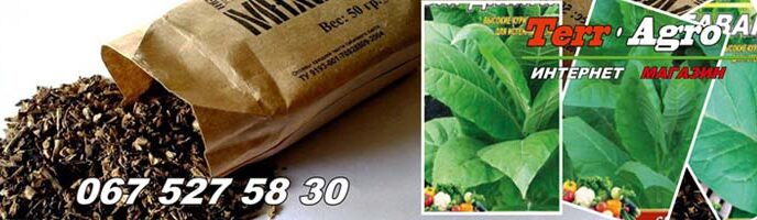 Насіння тютюну купити