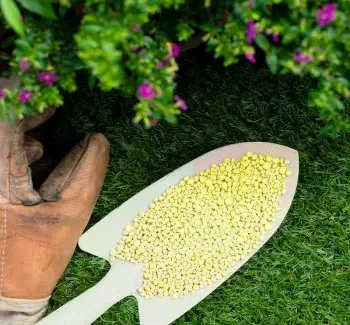 Фунгіцид колоїдна сірка - купити недорого