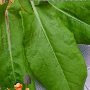 Щавель Бельвільський пакет 5 грам