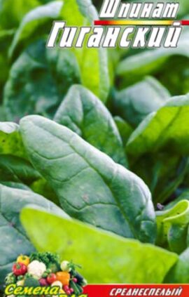 Шпинат Гіганський