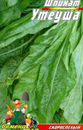 Шпинат Утеуша