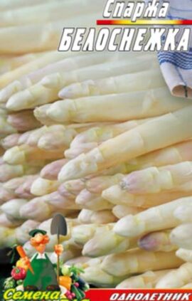 Спаржа Білосніжка