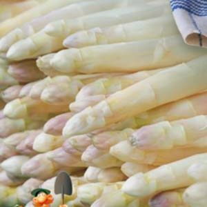 Спаржа Білосніжка