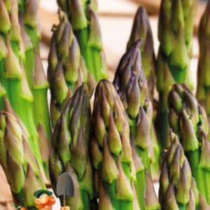 Спаржа Смарагдова