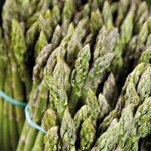 Спаржа Царська