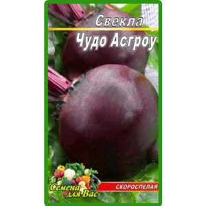 Буряк Чудо Асгроу пакет 20 грамів (упаковка з 10 товарів)