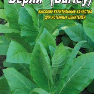 Тютюн Берлі пакет 0