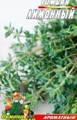 Чебрець лимонний