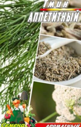 Кмин Апетитний