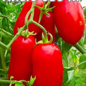 Томат Червоні свічки пакет 20 насінин