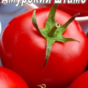 Томат Амурський штамб пакет 20 насінин