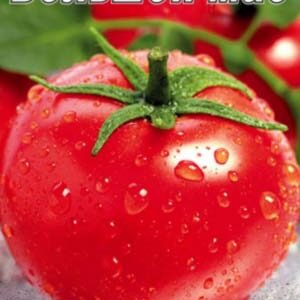 Томат Великий Мао пакет 20 насінин